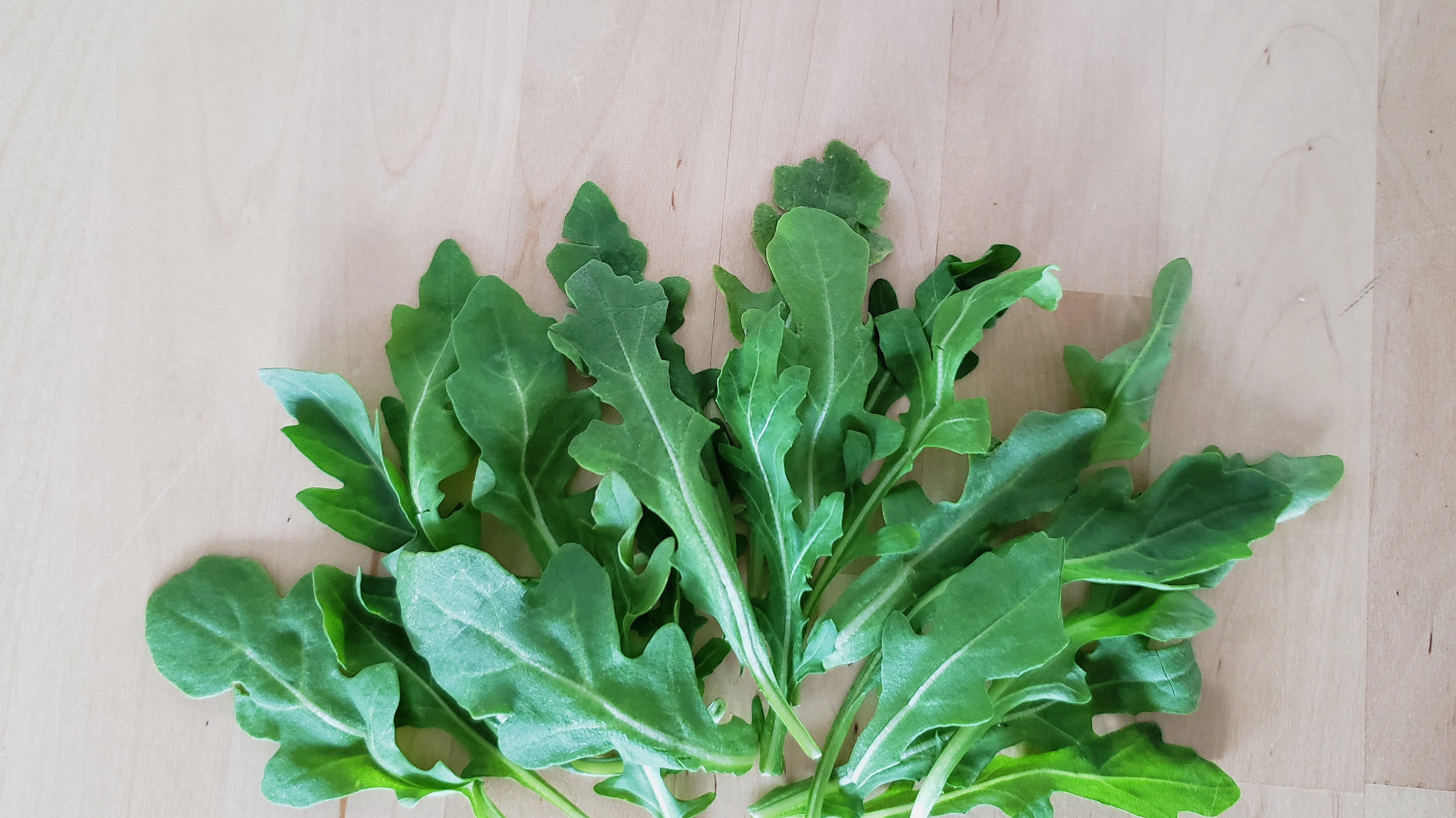 Three Types of Arugula – Seeds from Italy