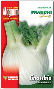 Fennel Finocchio Montebianco (62-17)