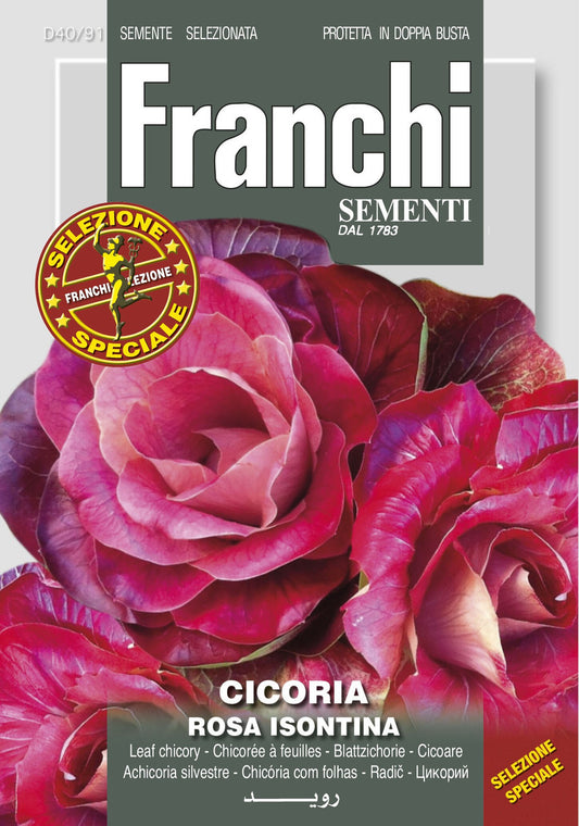 Chicory Rosa Isontina (40-91)