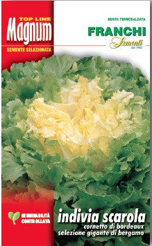 Endive/Escarole - Giant of Bergamo  (121-20)