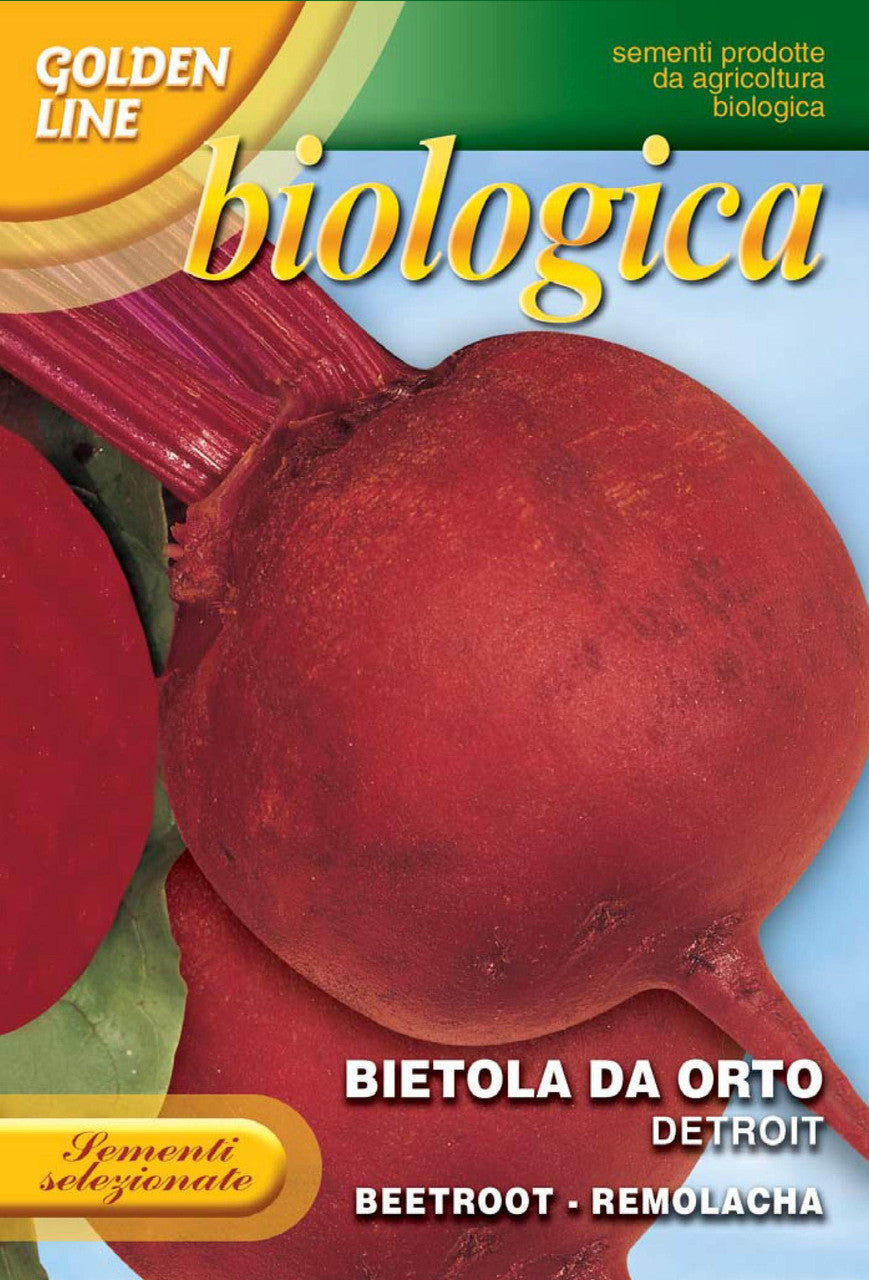 Beet - Detroit Certified Organic (11-10B)