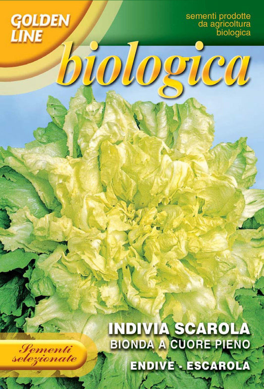 Escarole Bionda a Cuore Pieno - Organic (121-2B)