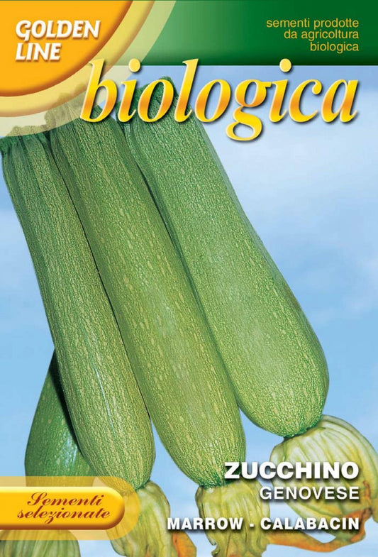 Zucchini Genovese - Certified Organic (146-10B)