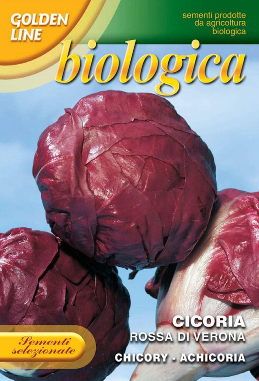 Radicchio Rossa di Verona -- Certified Organic (40-13B)