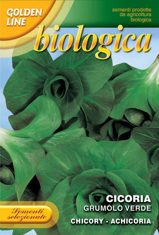 Chicory Grumolo Verde - Certified Organic (40-2B)