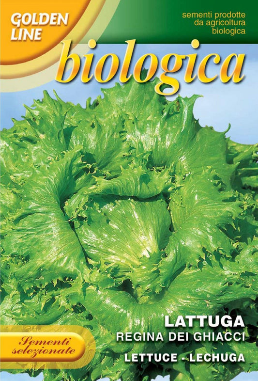 Lettuce Regina dei Ghiacci Organic (86-8B)