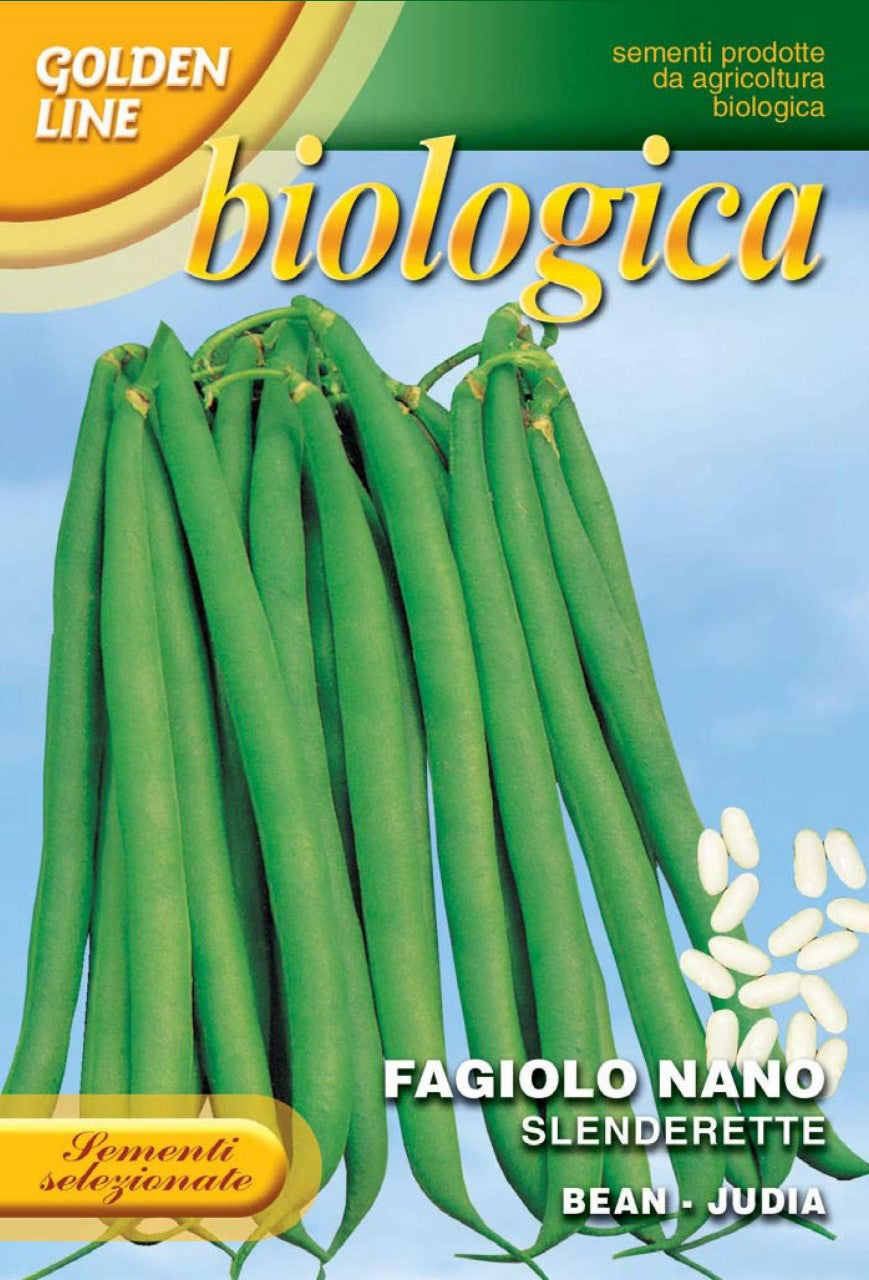 Bush Bean Slenderette -- Certified Organic (59-76B)