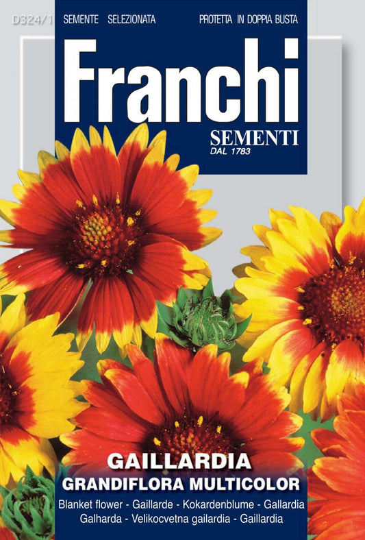 Gaillardia Grandiflora Multicolor Mix - Blanket Flower (324-1)