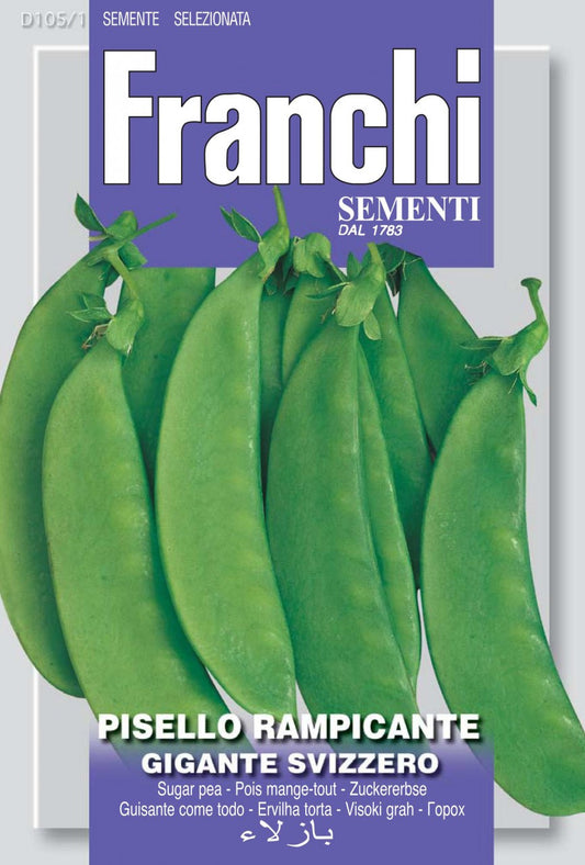 Snow Pea - Pisello Rampicante Gigante Svizzero / Carouby (105-1)