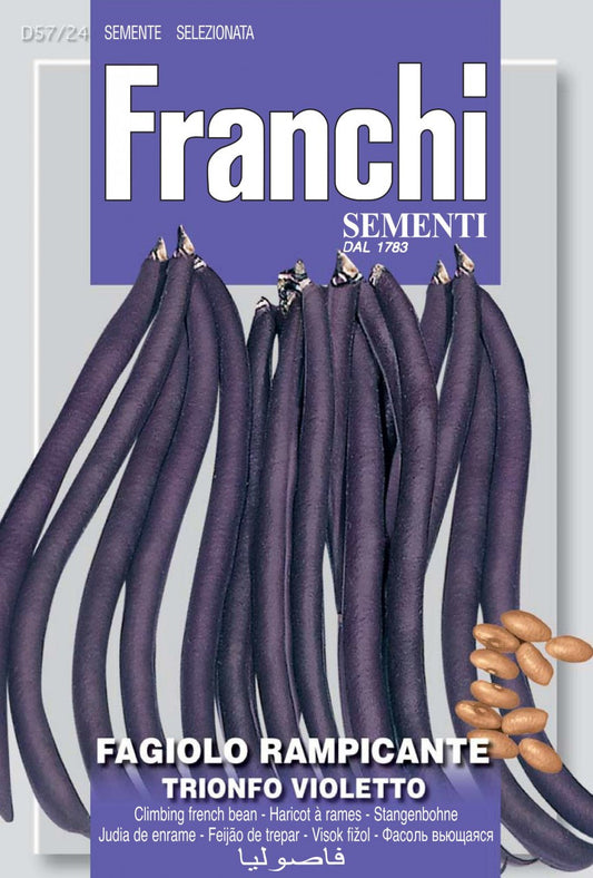 Pole Bean - Trionfo Violetto (Cosse Violett) (57-24)