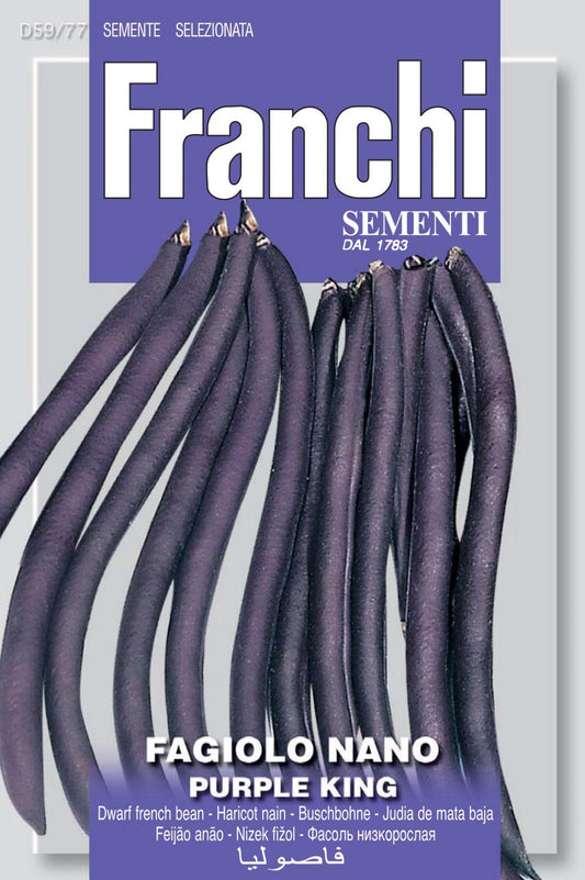 Bush Bean Nano Purple King (59-77)