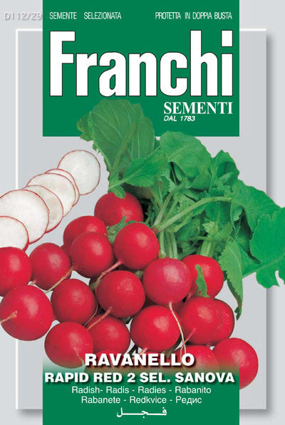 Radish Rapid Red Sanova (112-29)