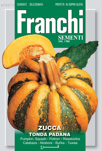 Winter Squash Padana (145-13)