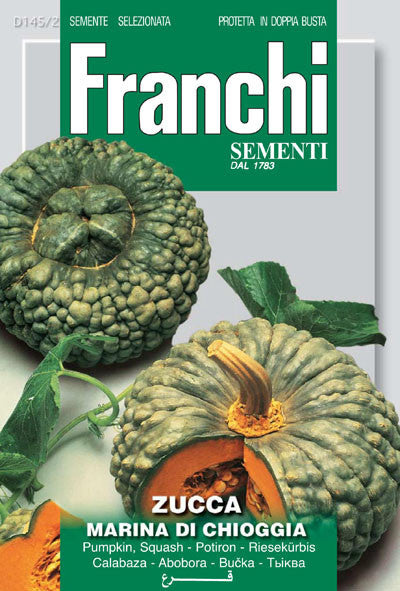 Winter Squash Marina di Chioggia (145-2)