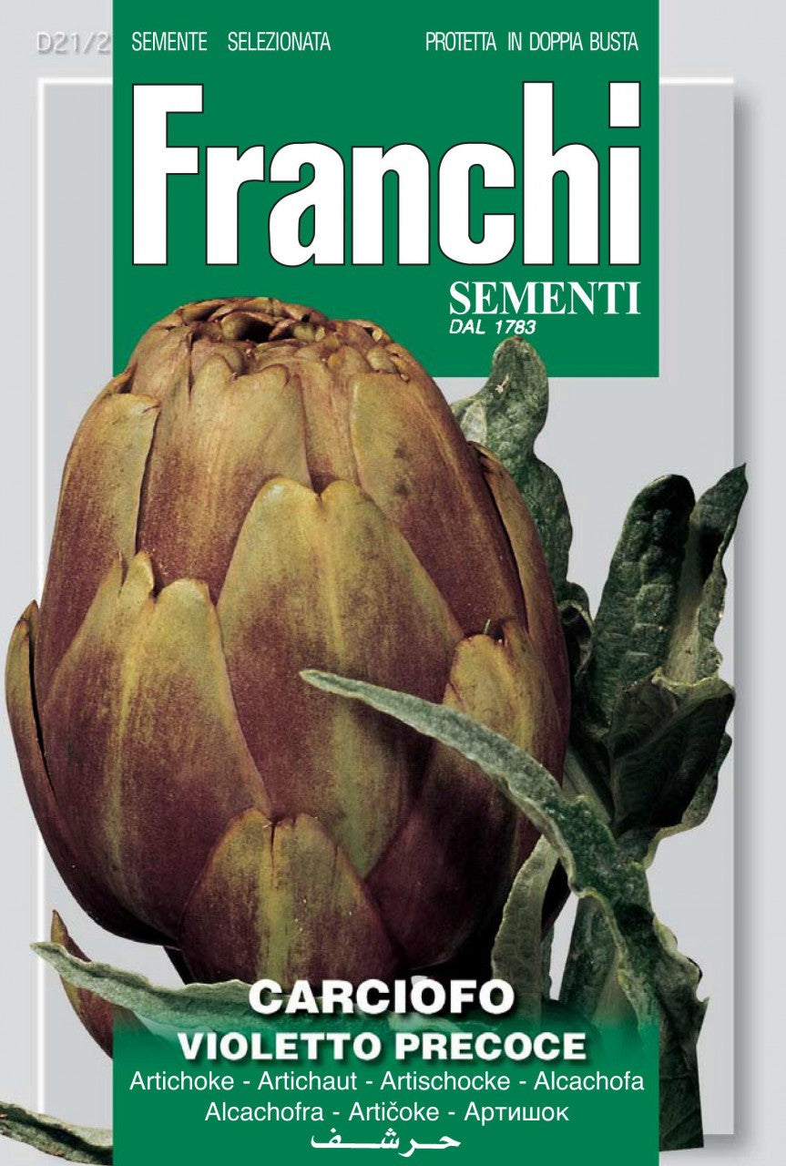 Artichoke - Violetto Precoce (21-2)