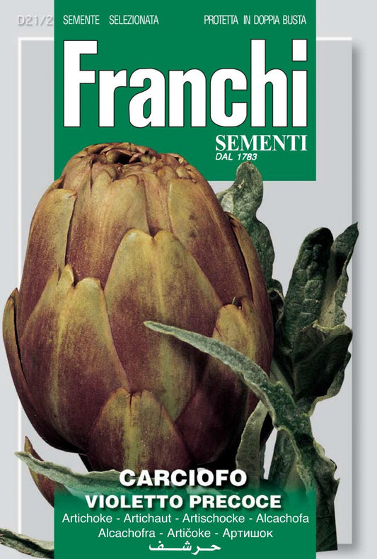 Artichoke - Violetto Precoce (21-2)