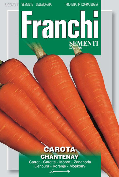 Carrot - Chantenay (23-37)