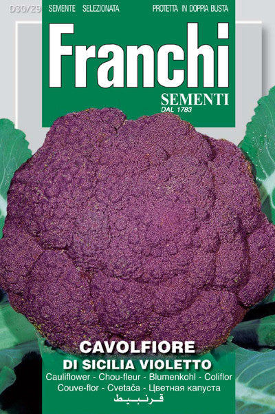 Cauliflower - di Sicilia Violetto (30-29)