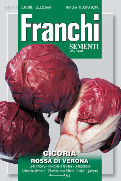 Radicchio Rossa di Verona (40-13)