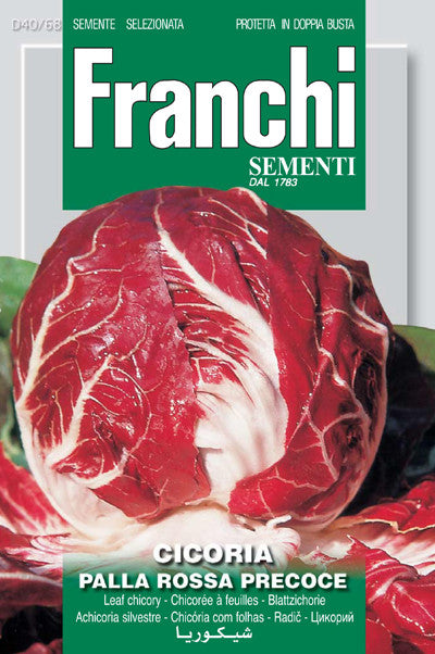 Radicchio Palla Rossa 3 (40-68)