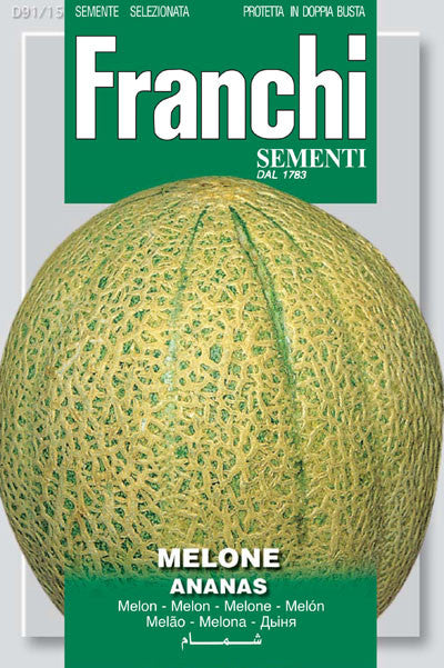 Melon Ananas Pineapple Melon (91-15)