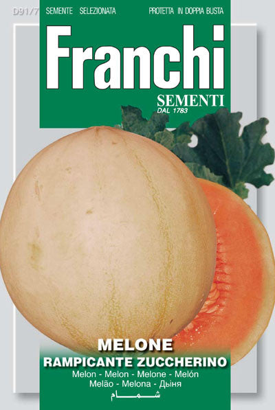 Melon Rampicante Zuccherino (91-7)