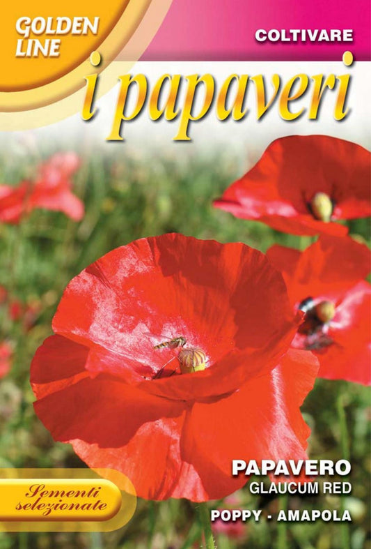 Poppy Glaucum Red (341-4)