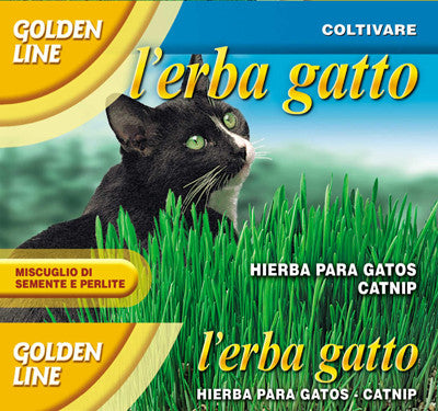 Cat Grass/Erba Gatto (54-13)