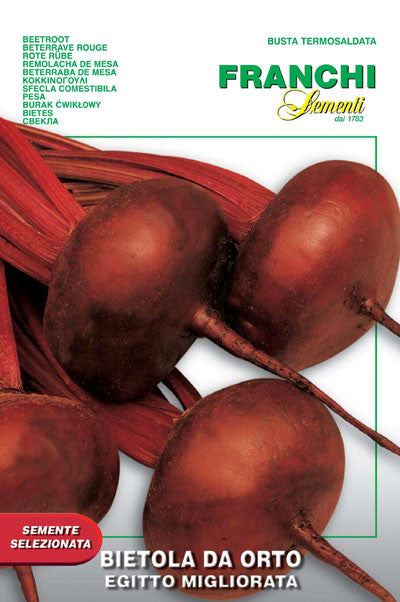 Beet - Egitto Migliorata (11-2)