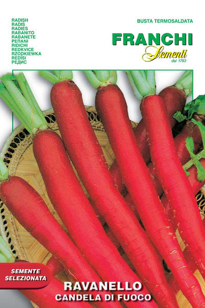 Radish Candela Fuoco (112-9)