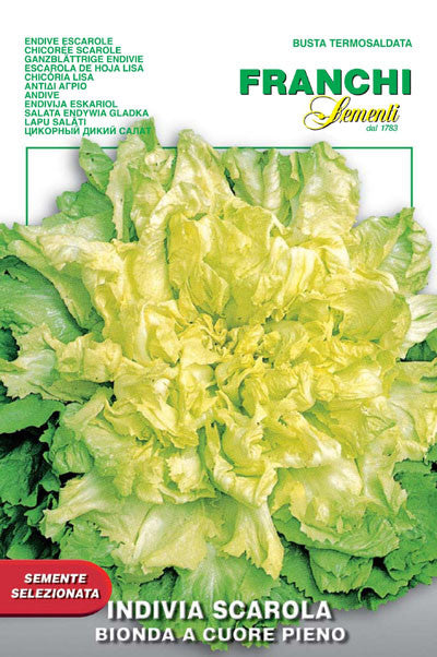 Escarole Bionda Cuore Pieno (121-2)