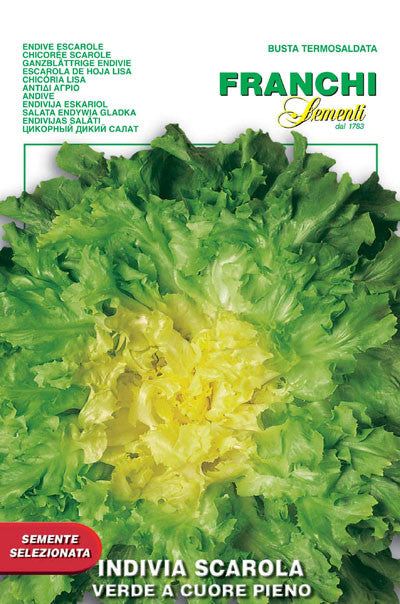 Escarole Verde a Cuore Pieno (121-3)