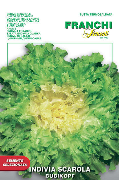 Escarole Bubikopf 3 (121-8)