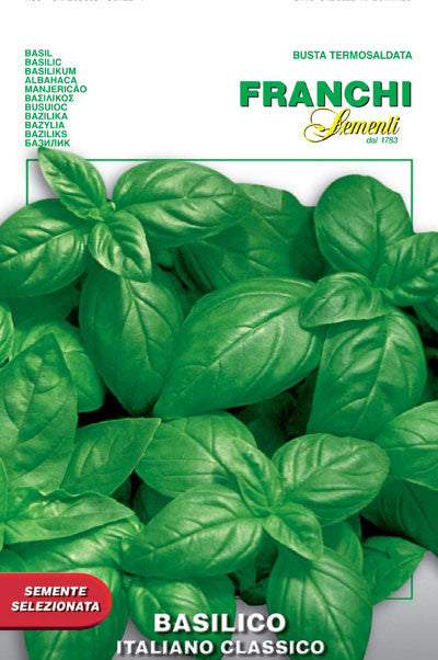 Basil - Italiano Classico (13-2)