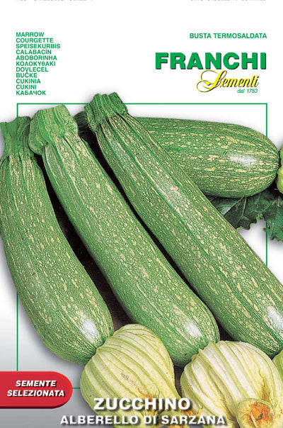 Zucchini Alberello of Sarzana (146-40)