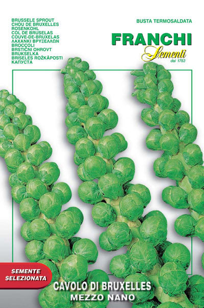 Brussels Sprouts - Mezzo Nano (24-2)