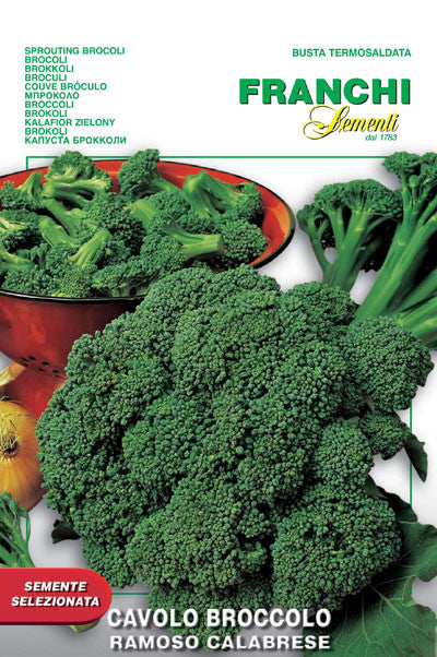 Broccoli - Ramoso Calabrese (25-23)