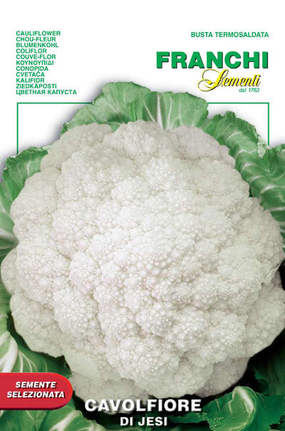 Cauliflower - di Jesi (30-15)