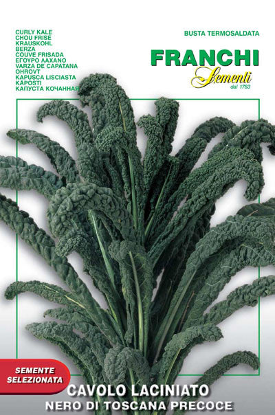 Kale - Nero di Toscana Precoce (35-7)