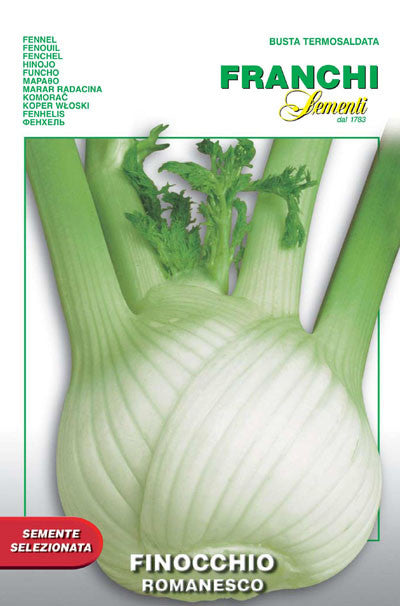 Fennel Romanesco (62-5)