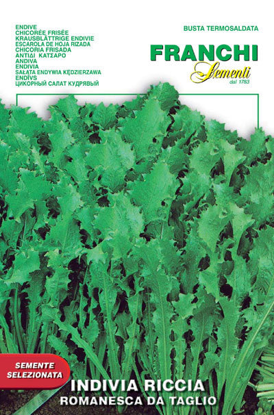 Endive Riccia Romanesco da Taglio (75-10)