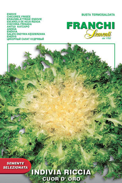 Endive Cuor d'Oro (75-4)