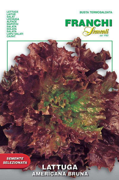 Lettuce Frisee d'Amerique/American Bruna /Riccia Invernale (78-14)