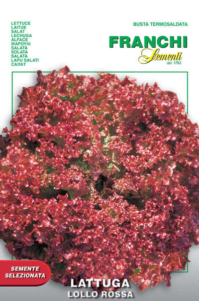 Lettuce Lollo Rossa (78-17)