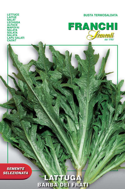 Lettuce Radichetta Barba Dei Frati (78-9)