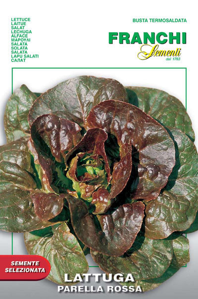 Lettuce Rougette di Montpellier Parella - Parella Rossa (79-36)