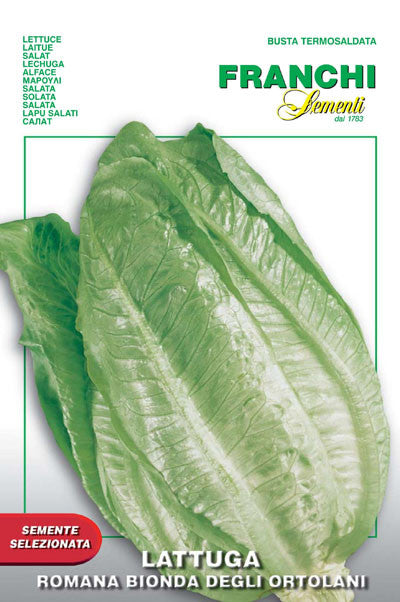 Lettuce Romaine Bionda Ortolani (84-4)