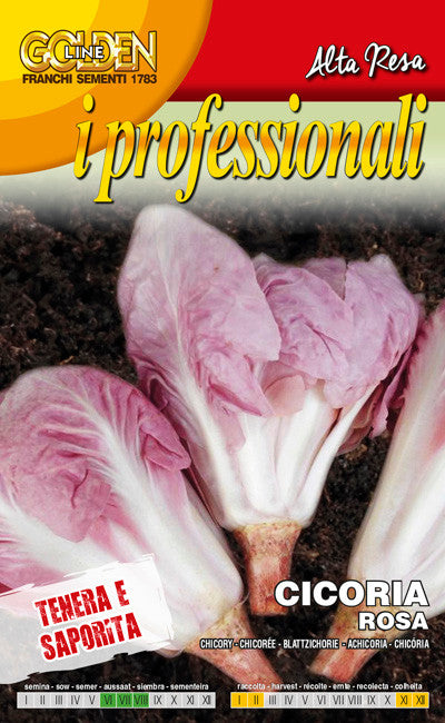 Chicory Rosa / Pink Radicchio (40-87)