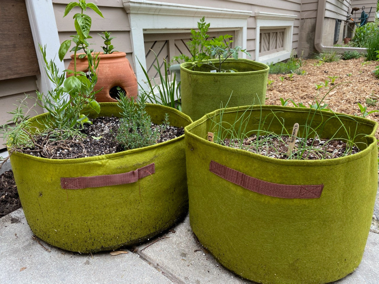 Vigoroot Herb Patio Planter