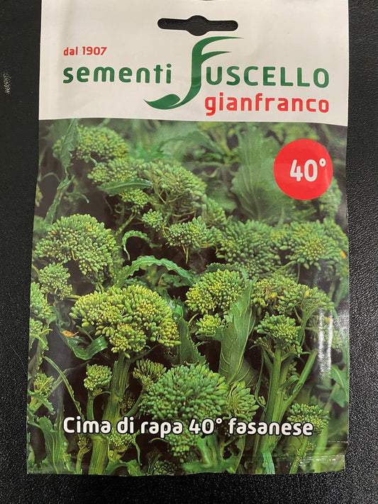 Cima di Rapa Quarantina (40 day) Cima Grossa Fasanese (41-96)